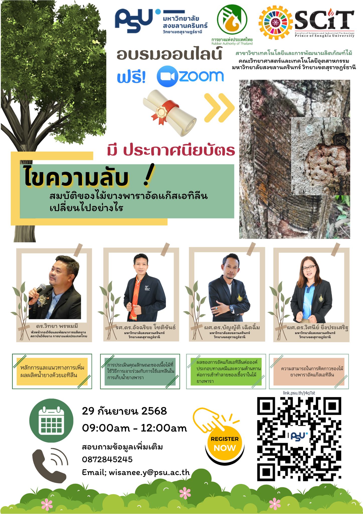 สมบัติของไม้ยางพาราอัดแก๊สเอทิลีน เปลี่ยนไปอย่างไร